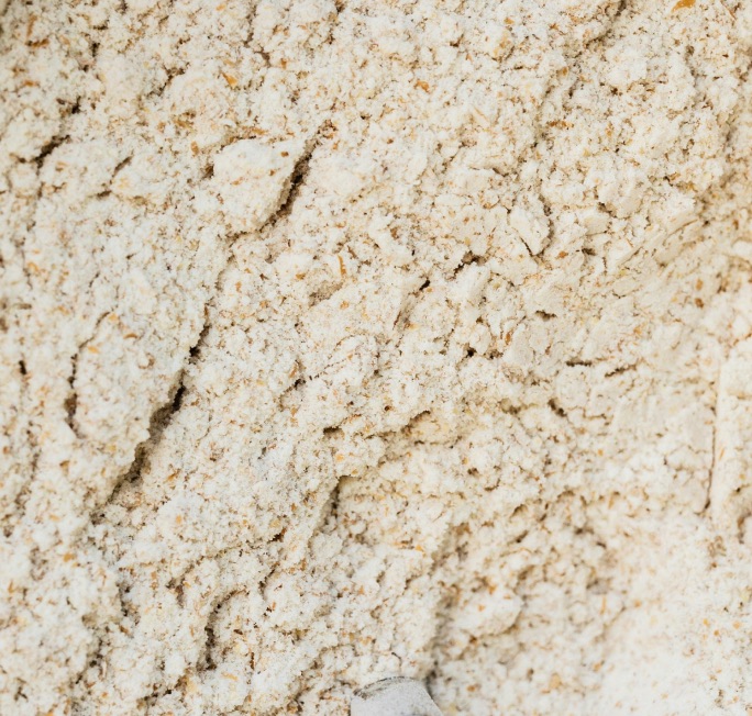 Prebiotic Fiber