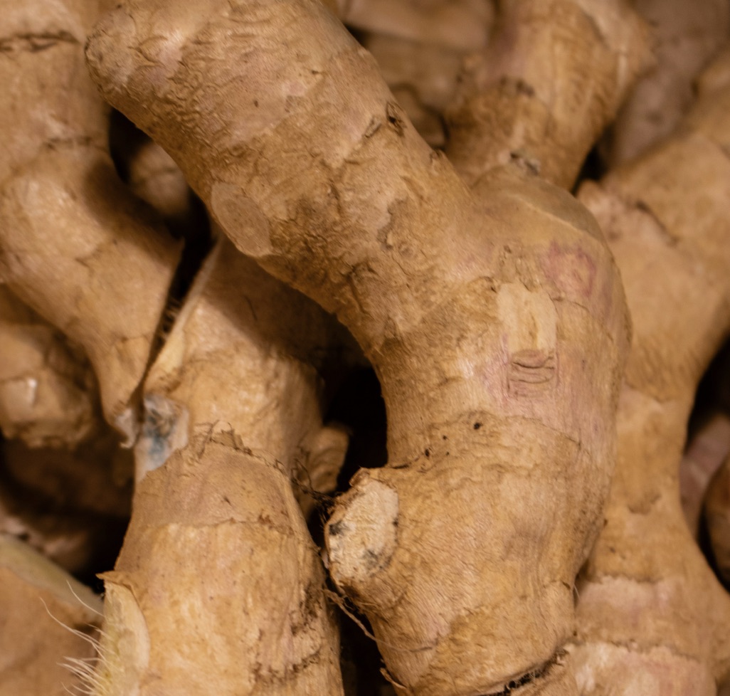 Ginger Root