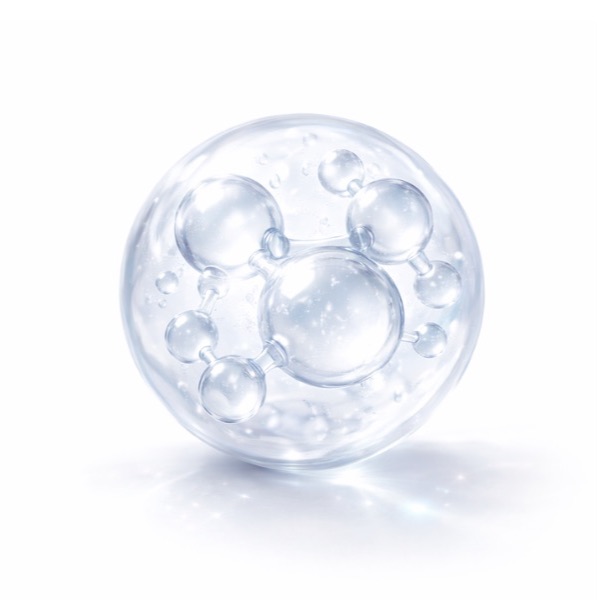 Type IV Collagen Peptides