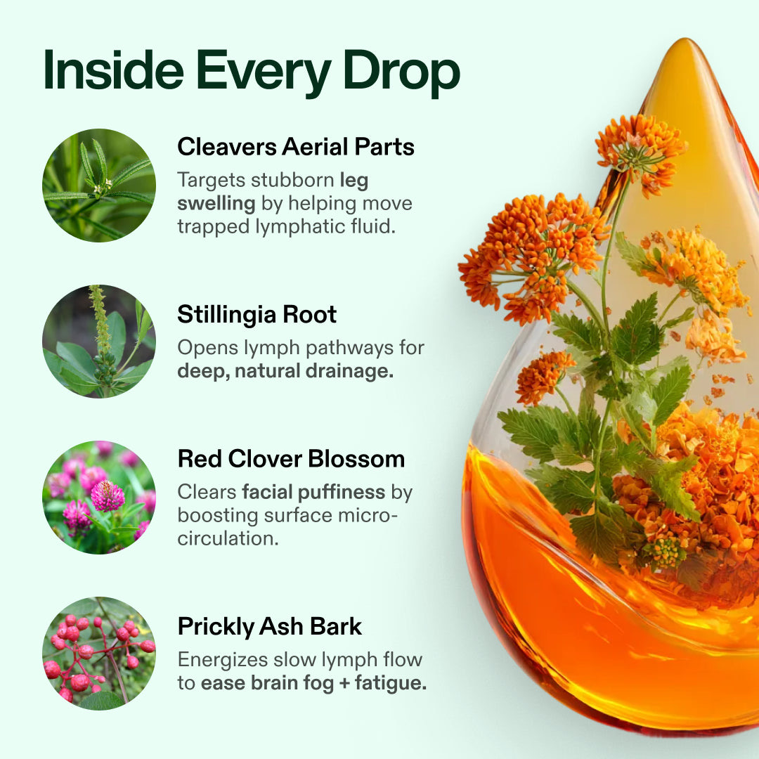 Inside every drop: cleavers, stillingia, red clover, prickly ash